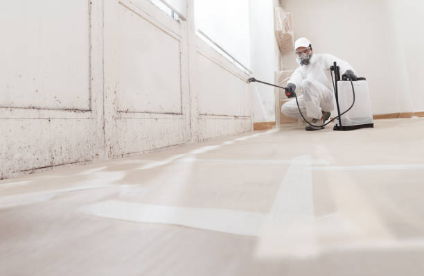 24/7 Emergency Black Mold Removal experts in Mahaffey, PA